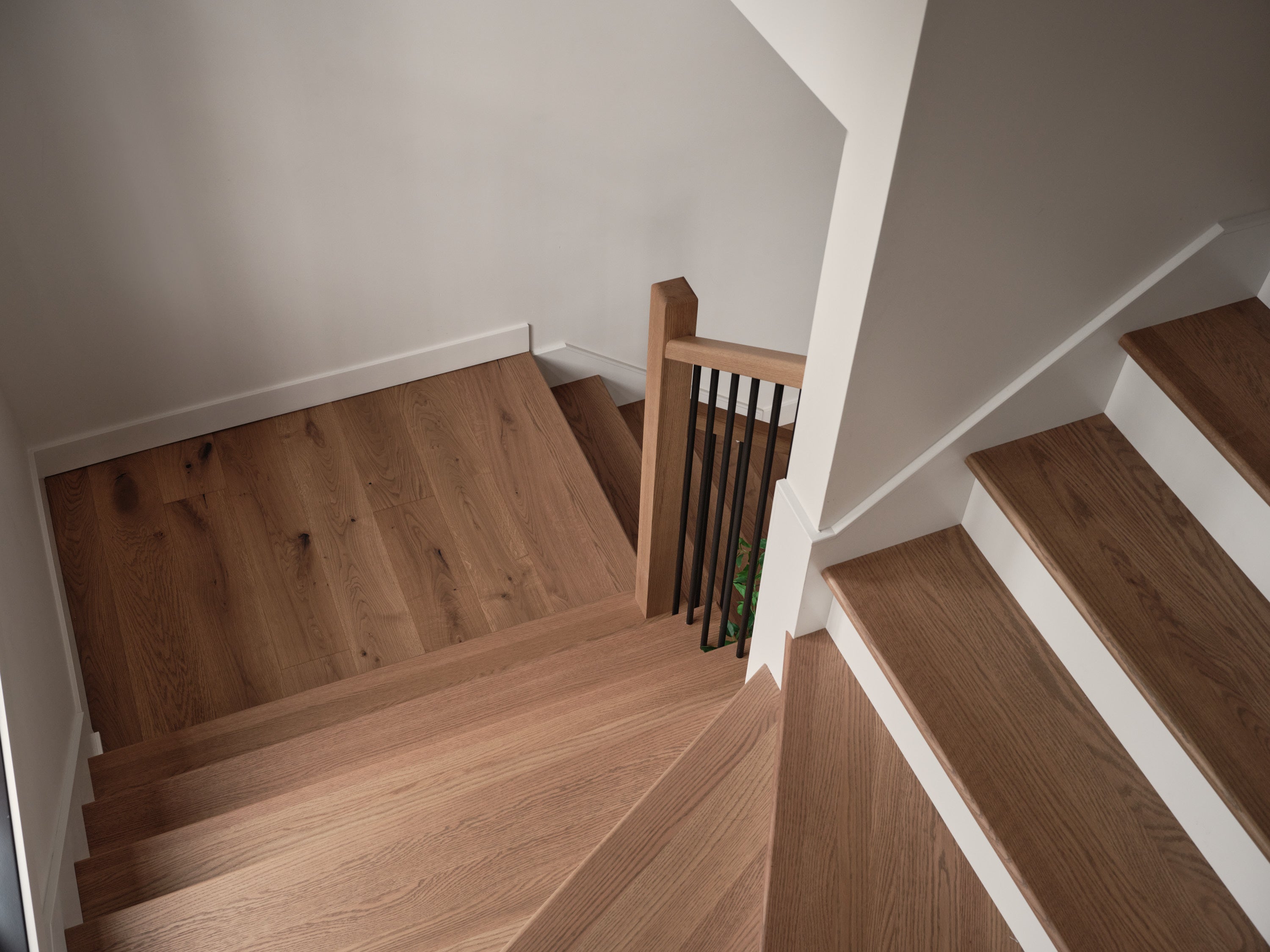 Projet LC - Havre Architecture